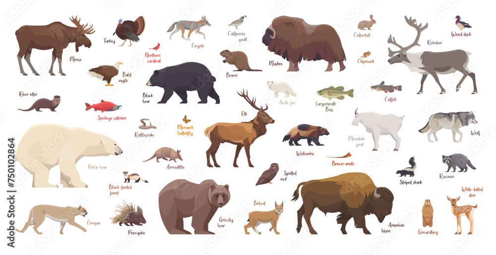 Flat set of north american animals. Isolated animals on white background. Vector illustration Flat set of north american animals. Isolated animals on white background. Vector illustration