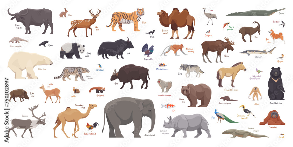 Naklejka premium Flat set of asian animals. Isolated animals on white background. Vector illustration