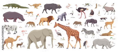 Flat set of african animals. Isolated animals on white background. Vector illustration