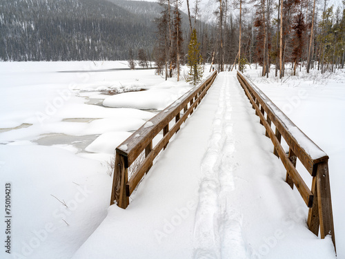 Wooden footbridge with snow and snowshoe tracks © knowlesgallery