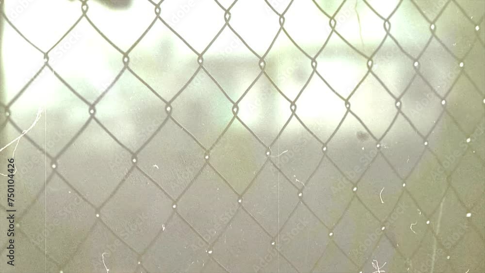 Wire fence with ghost overlay. spooky and scary for opening-end screen, podcast, halloween, horror content Wire fence with ghost overlay. spooky and scary for opening-end screen, podcast, halloween, horror content