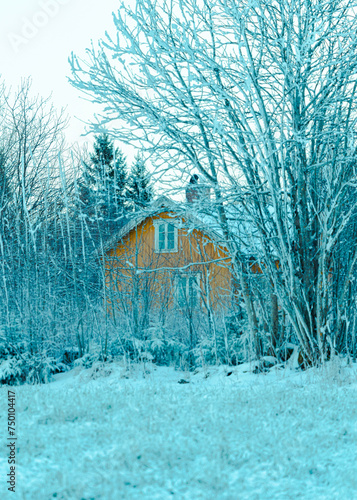 The abandoned ocher yellow farmhouse. photo