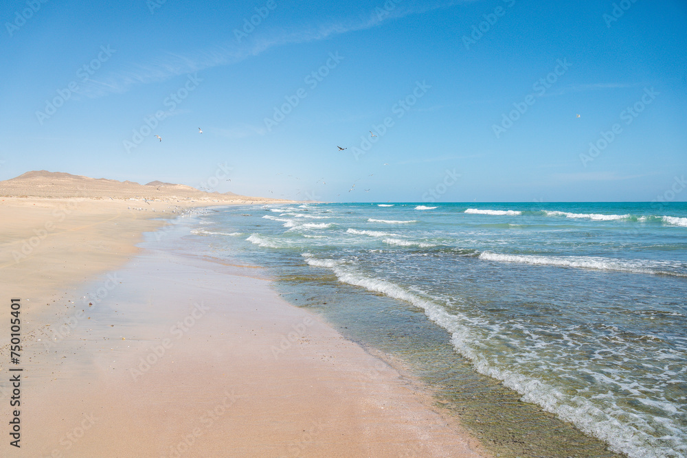 Arabian Sea, fishing boats, Oman, cities of Arabia