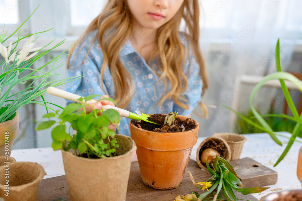 little girl planting flowers on spring terrace in home garden, seedlings growing, country house veranda little girl planting flowers on spring terrace in home garden, seedlings growing, country house veranda