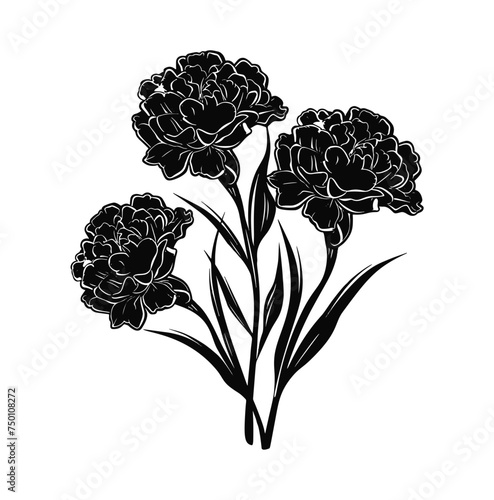 Vector isolated simple carnation bouquet boutonniere ywo carnations with twig colorless black and white contour line easy drawing	