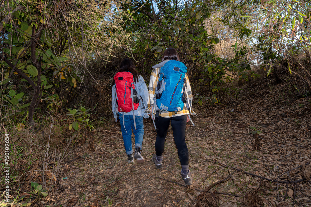 A group of people, led by a local guide, walk along a trail in the middle of nature. Exploring the natural environment and learning about ecotourism and conservation. A group of people, led by a local guide, walk along a trail in the middle of nature. Exploring the natural environment and learning about ecotourism and conservation.
