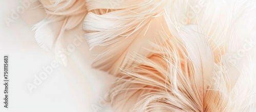 Close up of Beautiful fluffy abstract feathers on beige background. copy space. generative AI image