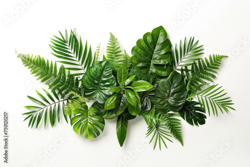 A modern arrangement of lush green leaves adorning a white wall