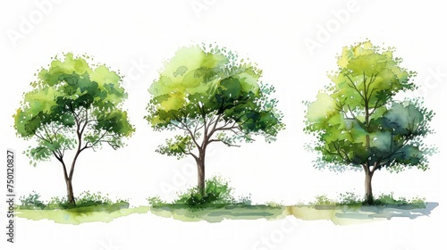 Green Abstract Watercolor Tree Side View for Landscape and Architecture Design Generative AI