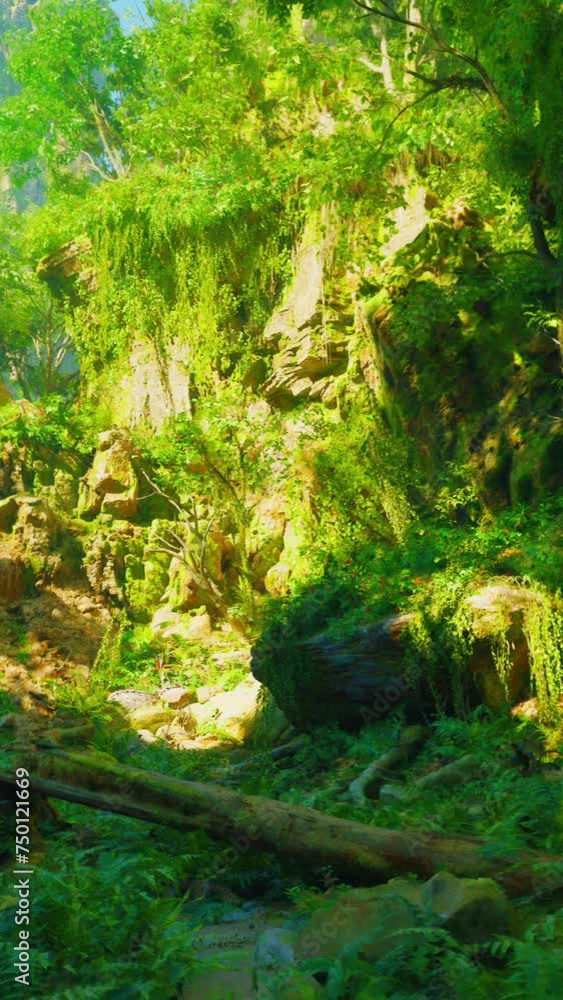 A vibrant and dense green forest with a canopy of trees A vibrant and dense green forest with a canopy of trees