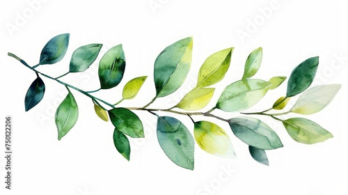 Hand Drawn Watercolor Illustration of Stylized Green Branch Generative AI