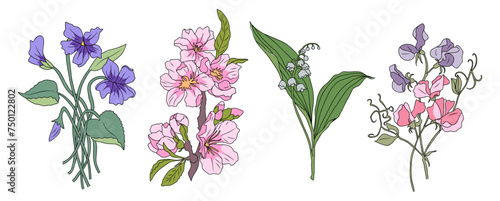 Beautiful romantic spring flower collection with violet, cherry blossom, sakura, sweet pea, lily of the valley, leaves. Colorful vector illustrations isolated on transparent background. photo