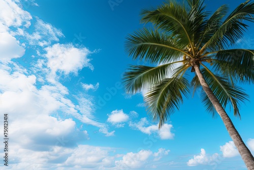 Summer holiday vacation and Maldives island sea tropical beach with palm tree in blue sky background