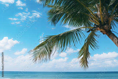 Summer holiday vacation and Maldives island sea tropical beach with palm tree in blue sky background