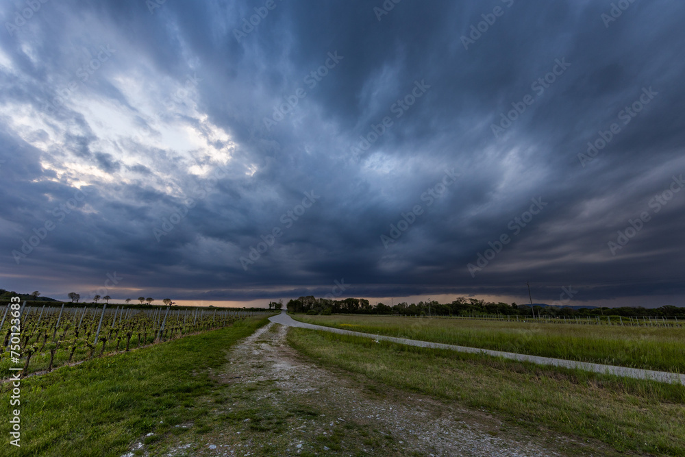 ampia visuale panoramica che mostra una immensa supercella temporalesca, con nuvole molto scure, che si sposta sopra la pianura orientale del Friuli Venezia Giulia, al tramonto
