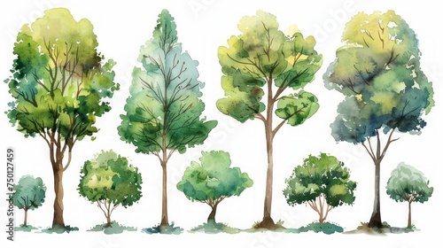 Hand-Painted Watercolor Forest Tree Set Generative AI