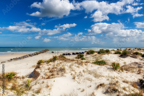 Beach sand dunes in New Smyrna beach in sunny day, Florida.