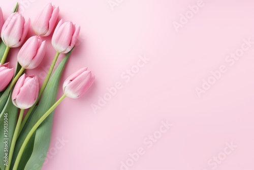 Border made of pink tulips with copy space on pastel pink background © Lazylizard