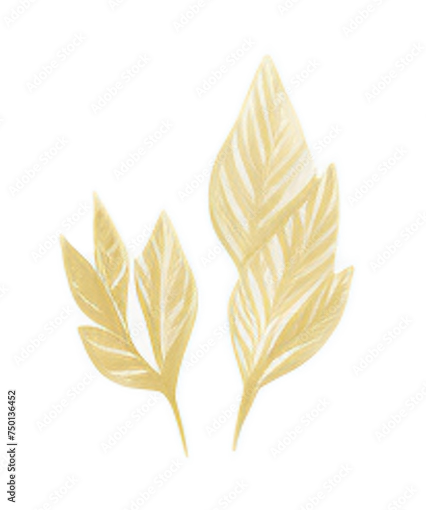 gold accent leaves isolated on transparent background