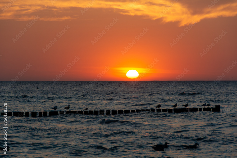 Sunset over the sea with breakwaters and birds