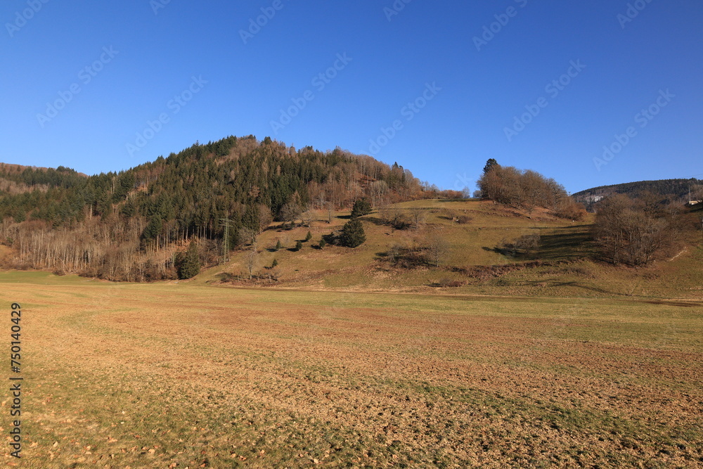 Blick auf die Naturlandschaft des Schwarzwaldes in der Nähe der Stadt Schönau	