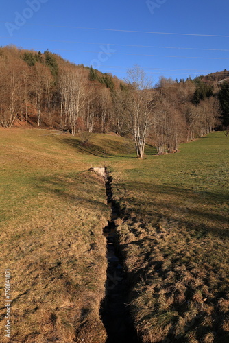 Blick auf die Naturlandschaft des Schwarzwaldes in der Nähe der Stadt Schönau 