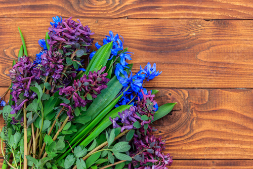Bouquet of purple corydalis flowers and blue scilla flowers on wooden background