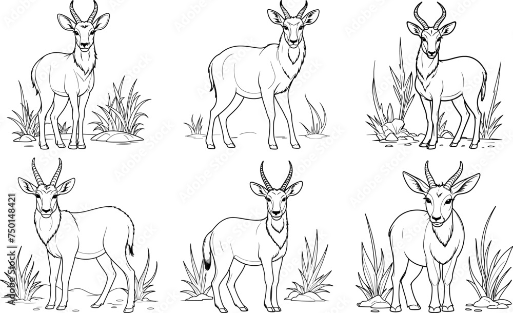 Naklejka premium Waterbuck hand drawn coloring page and outline vector design