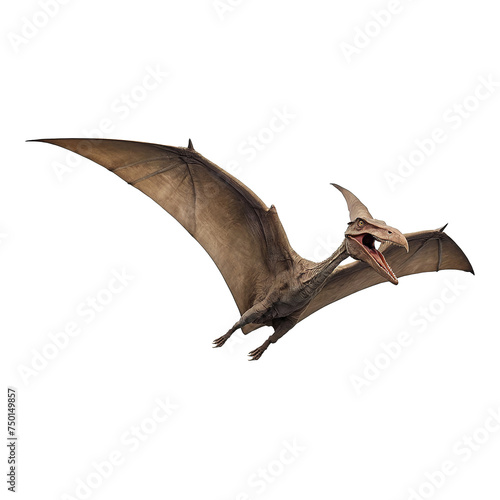 Pteranodon, Pterodactylus dinosaur on transparent background Generative AI