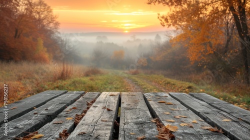a wooden table with leaves on it in front of a foggy field with trees and a road in the distance.