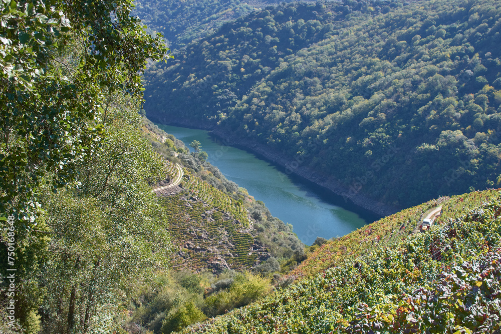 A viewpoint of the Sil Canyons in the Ribeira Sacra, in Sober, Lugo, Spain