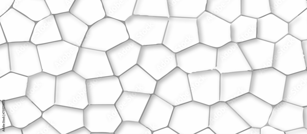 Fototapeta premium Abstract white stained glass background pattern .white stained glass window art background .seamless pattern with 3d shapes vector vintage design .