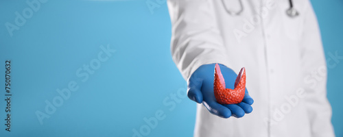 Endocrinologist holding thyroid gland model on light blue background, closeup. Banner design with space for text