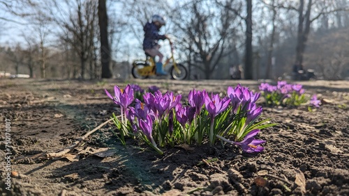 Frühlingsblumen und Kind fährt Rad