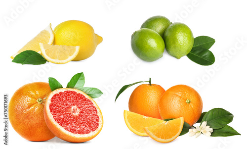 Fototapeta Naklejka Na Ścianę i Meble -  Different fresh citrus fruits isolated on white, set