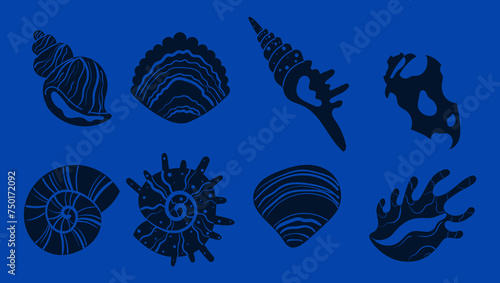Seashell shell star shellfish marine aquatic isolated set. Vector flat graphic design illustration