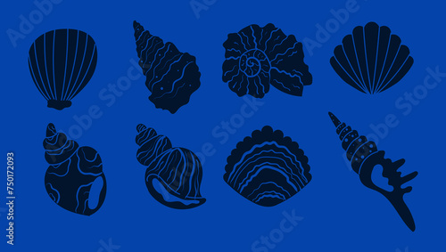 Seashell shell star shellfish marine aquatic isolated set. Vector flat graphic design illustration