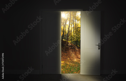 Sun shining through trees in autumn forest and open door