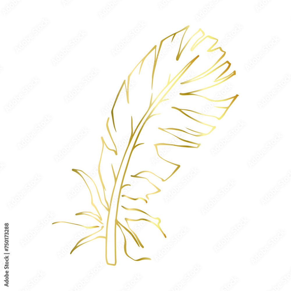 Fototapeta premium Golden outline of a bird feather. Vector graphics.