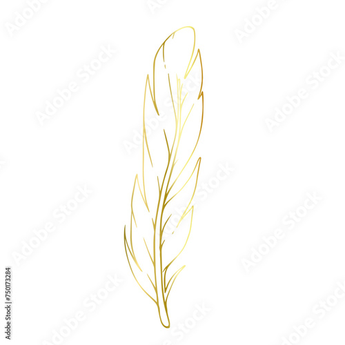 Golden outline of a bird feather. Vector graphics.