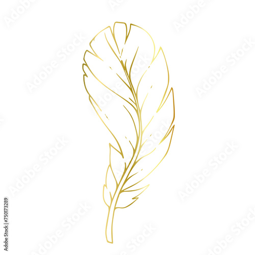 Golden outline of a bird feather. Vector graphics.
