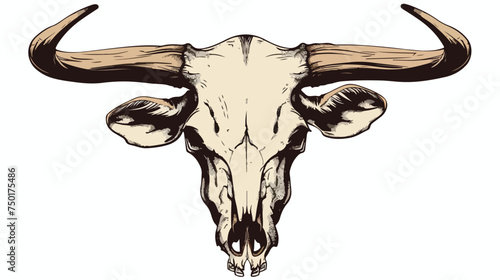 Animal skull with horns cow bull head isolated illus photo