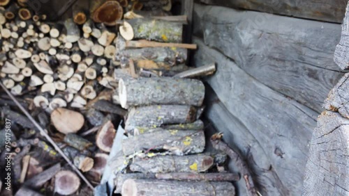 A small shed with wood for heating the stove. photo