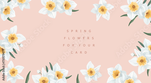 Floral elegant greeting card. Vector delicate pastel illustration of spring daffodil flowers in minimalist style for invitation, frame, banner or background