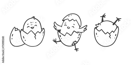 easter cartoon chicks . Cute cartoon chicken hatched from the egg. Doodle style. Card for easter and spring.