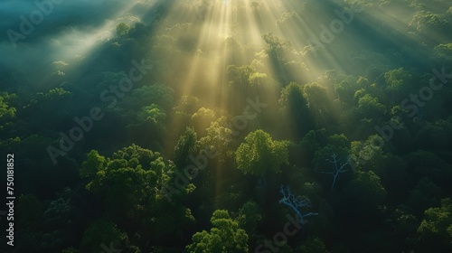  the sun shines through the clouds above a forest filled with trees and a bird s - eye view of the sun s rays coming through the clouds.