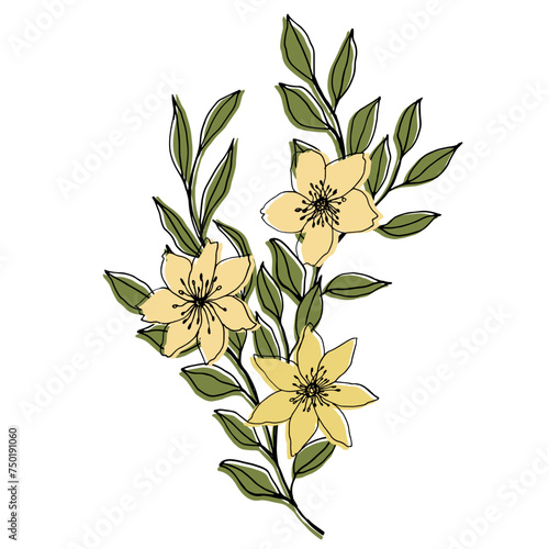 vector composition with flower, leaves and branch. Elegant art for decoration. ink hand drawing botanical illustration for backgrounds. Template for wedding cards, polygraph, logo, tattoo