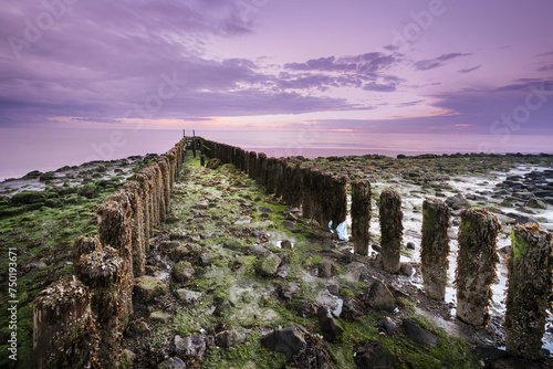 Wooden poles on stone pier covered with seaweed and barnacles extends into the sea at low tide along the coast during sunset