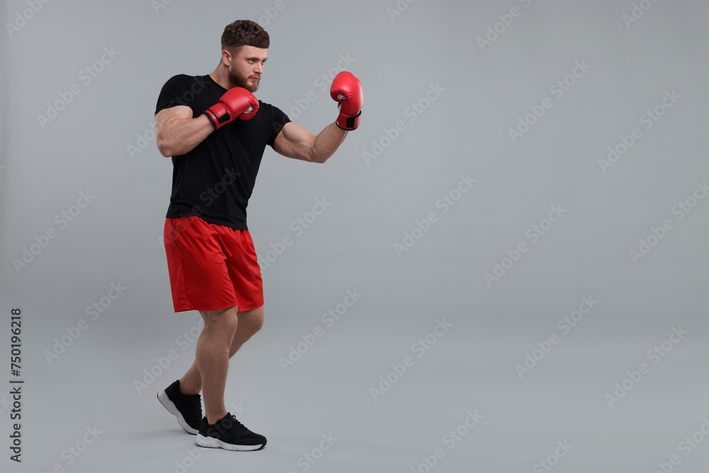 Man in boxing gloves fighting on grey background. Space for text