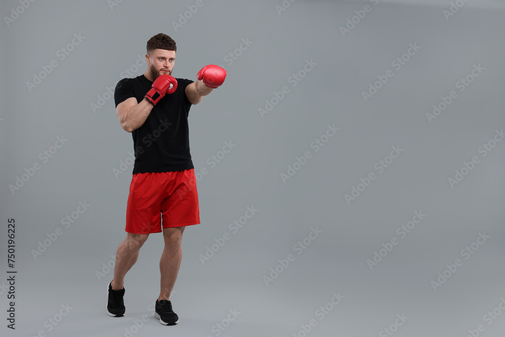 Man in boxing gloves fighting on grey background. Space for text Man in boxing gloves fighting on grey background. Space for text
